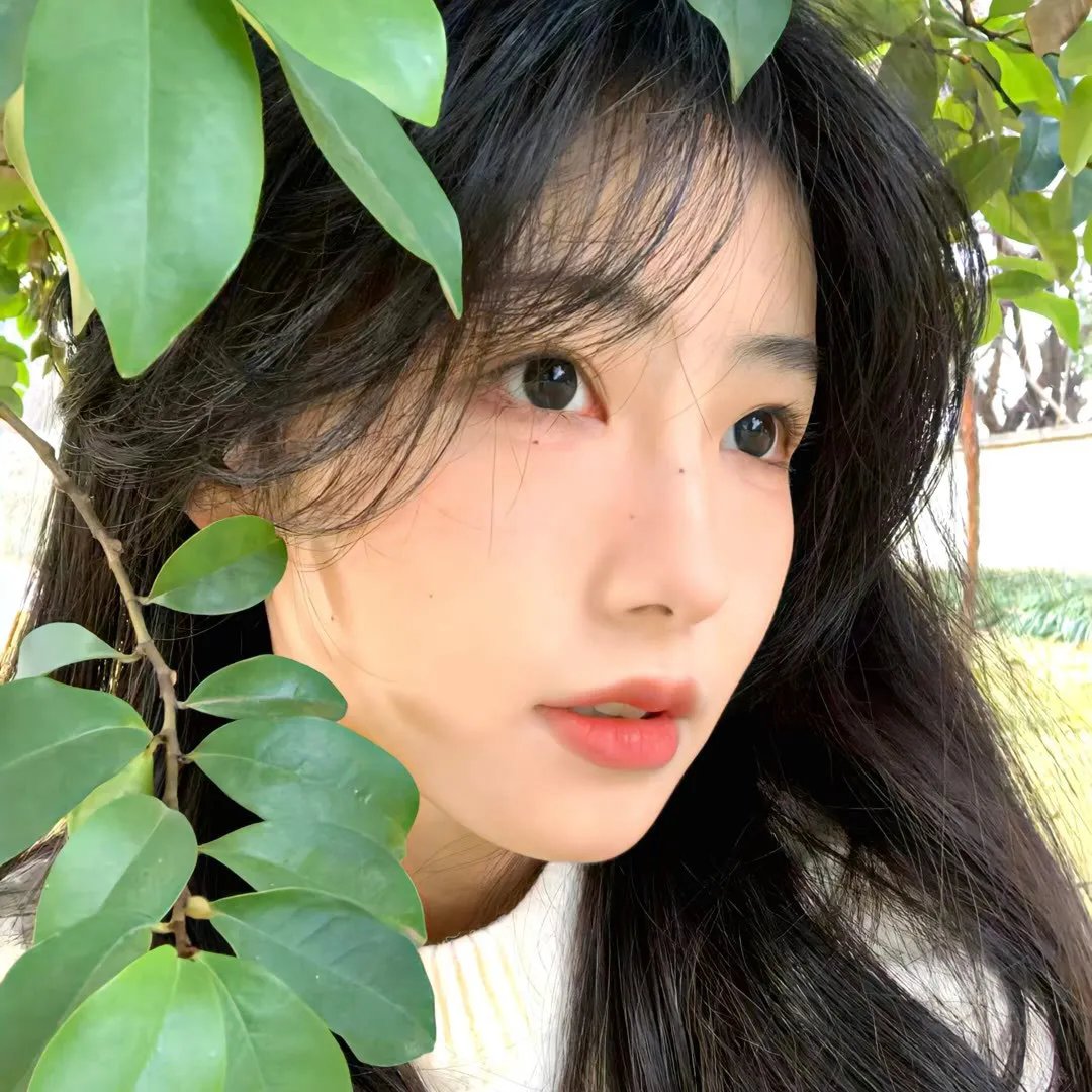 秘密同盟