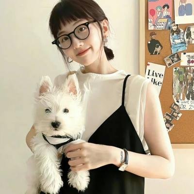 抢劫梦想终成真